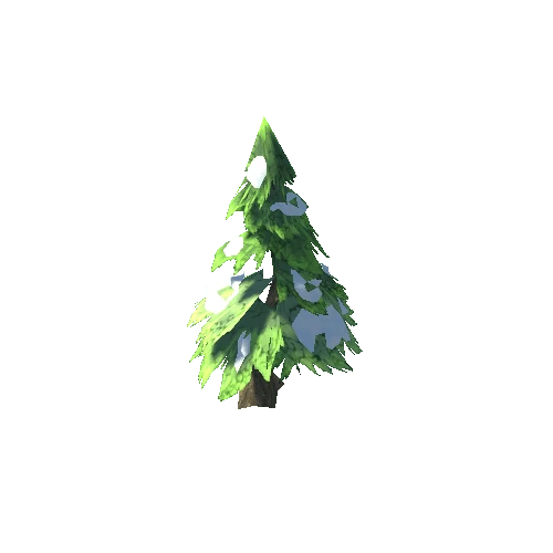 Pine 2 - Snow